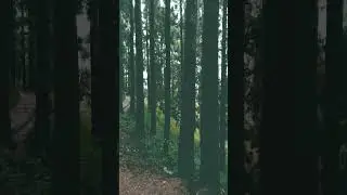 #Anmon