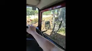Ray-Ban Meta Smartglasses Audio Problem.
