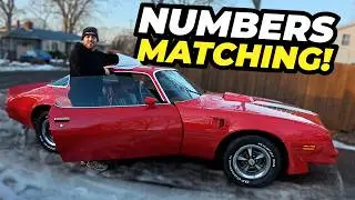 We Bought Another Trans Am?!