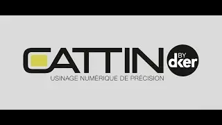 CATTIN by.dker