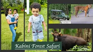Trip to Kabini with fam!Forest safari!Stay details!Spotted Tiger 🐅 @Prithzwandergal26 #kabini#safari