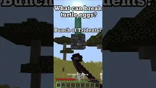 What can break turtle eggs? #shorts #minecraftshorts #minecraftfacts #minecraft