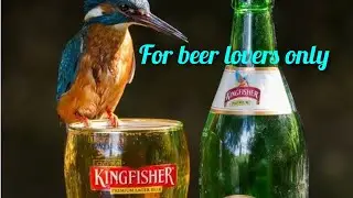 Beer Whatsapp Status !Beer Lovers ! remix status