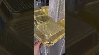 Start customizing your own aluminum foil containers now! #chinesefactory #machine