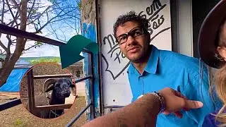 DIDINHO E FALA FINA EST&Atilde;O COM MEDO DE ENTRAR NO CARNEIRO CHICO | REI DO DANONE