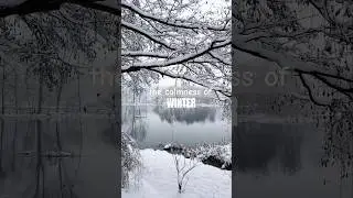 Winter Calm by a Lake🤍❄️#snowfall #wintercalm#tranquilwinter #naturetherapy#slowlife #winter#snow