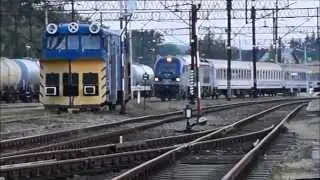 Pesa