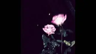 [FREE] Bones Type Beat - 