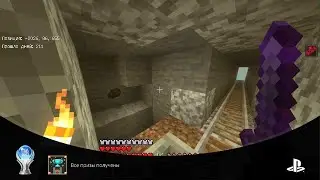 Minecraft platinum trophy