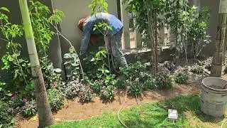 👉 Wall Cutting Husqvarna Cut-n-Break K4000 Cutting Machine | R K Concrete Cutting Services In India