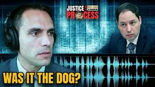 Forensic Audio Expert: 911 Call Sound Consistent With Dog, Not Human | Banfield Trial