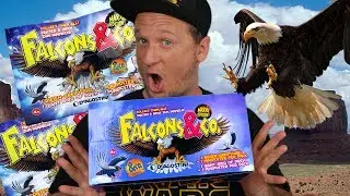 ALL MY FALCONS and CO | FULL BOX UNBOXING Komplettsatz alle 16 Falcons und Co