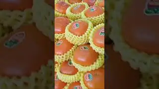 Taiwan Fresh Fruits #Trailer #Shorts