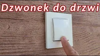 Dzwonek do drzwi 🔔 zabawa dla psa 🐶
