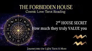 ⭐ AQUARIUS ♒ | TIMELESS TAROT READING |They See You as Exceptional 🤩✨ The Perfect Match for Them 💞⚡