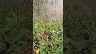 nem &eacute; todo dia que o pescador pega peixe n&eacute;!#pescariabrasil