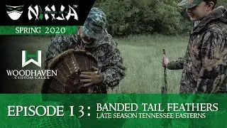 Turkey Ninja 2020 E13: BANDED TAIL FEATHERS - Late Season Tennessee Easterns