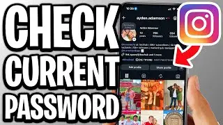 How To Check Current Instagram Password - Step By Step