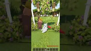Working Swing in Minecraft 🤩 #shorts