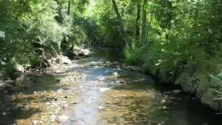 Natuurcamping in de Ardennen. Camping des Charles in Stavelot.