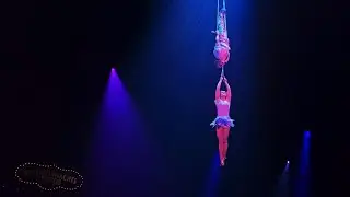Weltweihnachtscircus Stuttgart 2025 Flight of Passion Daria und Dmitriy Ukraine Luftakrobatik Zirkus