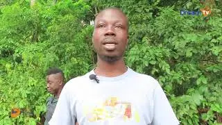 Côte d'Ivoire Profonde l Un regard sur les singes sacrés de Gbepleu (MAN)