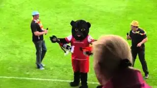 Tom Touri & Die Partytouristen im Admirastadion