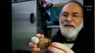 Ajo negro pequeña cámara para su elaboración