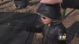 Cold Weather Myths Debunked!