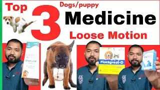 dog loose motion medicine || puppy loose motion medicine || dog loose motion treatment in hindi ||