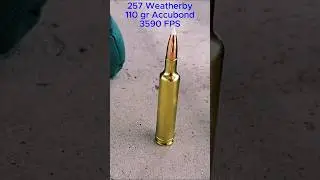 257 Weatherby at 1000 yards!