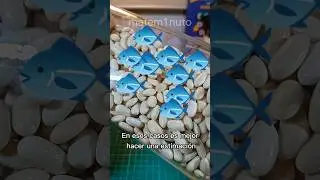 M&eacute;todo de CAPTURA-RECAPTURA para estimar poblaciones