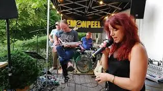 Lemonpeel - Fragile Cover 2019