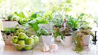 FRESH! KITCHEN HERBS GARDEN DESIGN IDEAS | HOW TO CREATE BEAUTIFUL DIY SMALL HERB GARDEN FOR KITCHEN