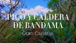 Excursión al Pico y Caldera de Bandama | Naturaleza volcánica en Gran Canaria. #059