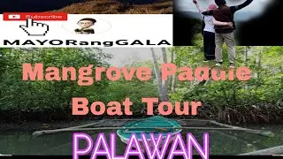 Mangrove Paddle Boat Tour @leniemayor462