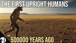 How We Stood Up  The Evolutionary Journey of Australopithecus Afarensis