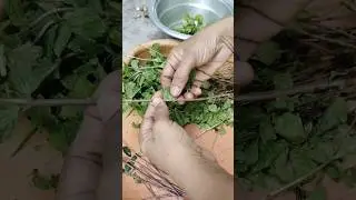 puthina cleaning 🤷 #minivlog #home #tamil #food #puthina #puthinacleaning #shortsfeed #diml