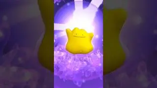 Looking for a Shiny Ditto ✨✨✨