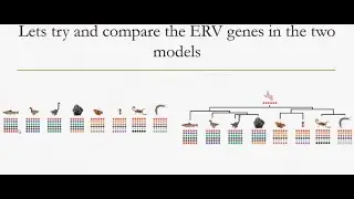 Danish Debater and SpeedOfSound on ERV's etc
