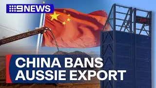 China bans iron ore from Australian mining giant BHP | 9 News Australia