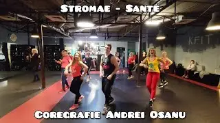 Andrei Osanu - SANTE