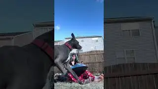 Sunrise Handpan Jam session 12/30/25 FT Daisy, Zeus and Apollo!✨