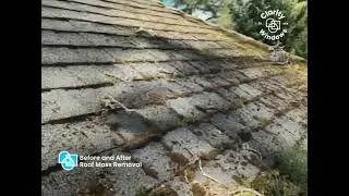Clarity Windows Victoria Roof Moss Removal