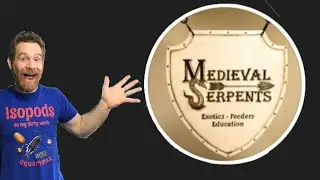 Isopod Unboxing from Medieval Serpents