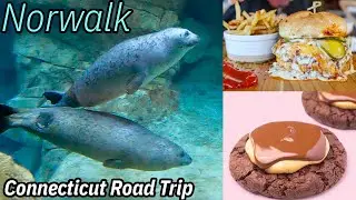 NEW ENGLAND VLOG CT - Norwalk - we check out the Maritime Aquarium!