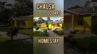 Chalsa Dooars Homestay || Inside Tea Garden || Nice Homestay ||