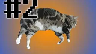 Cat Tales - Get Outta The Trees!