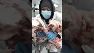 Cutting Beef Femur Bones