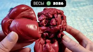 🔥 ВЕСЫ 2026 ГОД СУДЬБОНОСНЫЕ ПЕРЕМЕНЫ Узнай что ждёт Чем судьба порадует? Гадание на воске